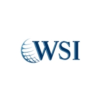 WSI Smart Marketing WSI Smart  Marketing